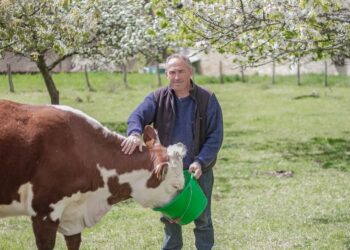 Au coeur des paysans