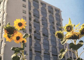 Vivre la nature en ville - Éditions Ulmer