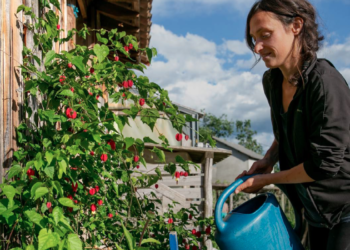 Près de 9 Français sur 10 voient en l’agroécologie une solution alternative à l’agriculture actuelle