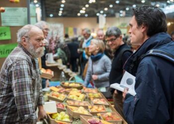 Primevère Salon Lyon