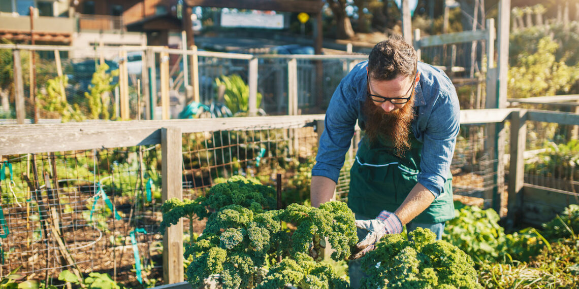 Paris : le grand salon de la permaculture Permae revient ce week-end au Parc Floral