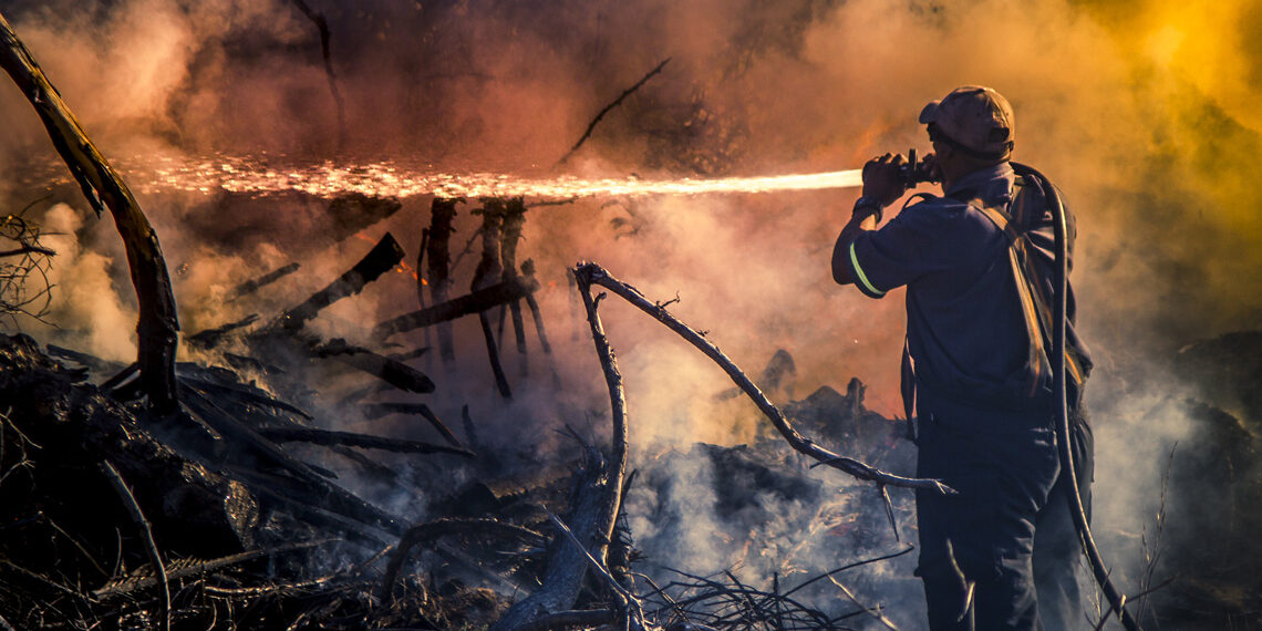 Gironde : 14 000 hectares de forêt ravagés par les flammes