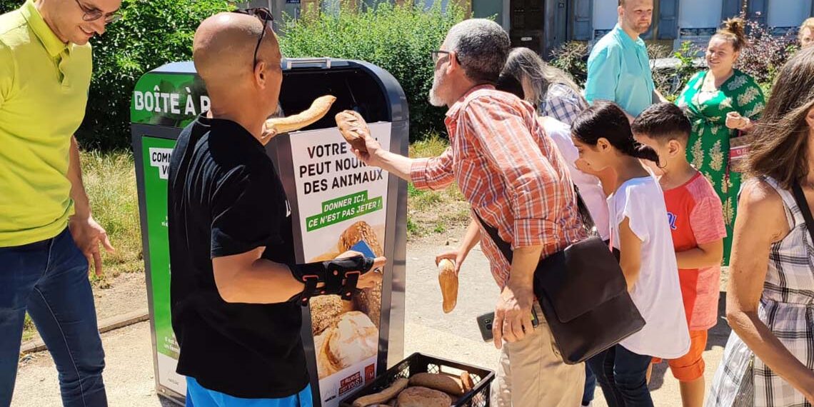 Les habitants de Mulhouse créent des boîtes à pain rassie contre le gaspillage alimentaire