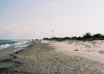 Radical Rituals, l&rsquo;exposition qui raconte les nouvelles solidarité à travers l&rsquo;Europe