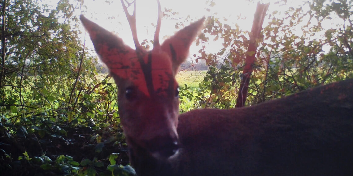 « La pensée de Philippe Descola offre des solutions aux crises que nous traversons »