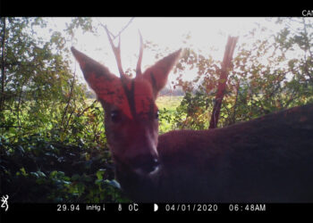 « La pensée de Philippe Descola offre des solutions aux crises que nous traversons »