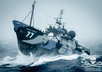 L&rsquo;ONG Sea Shepherd publie son recueil de recettes végétales