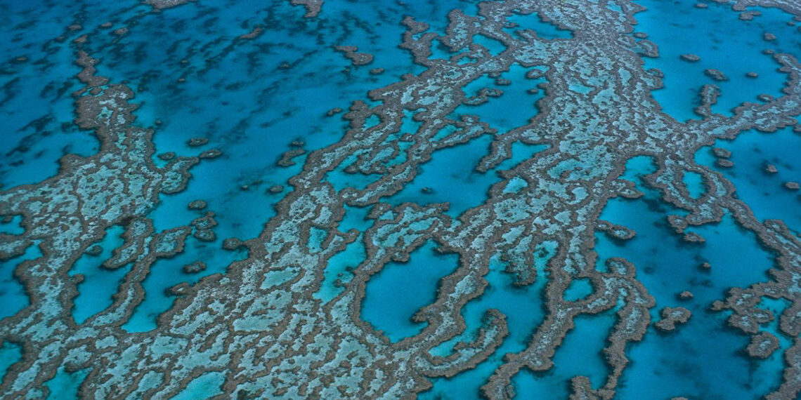 L’Australie annule un projet de mine dangereux pour la grande barrière de corail