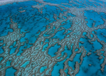 L’Australie annule un projet de mine dangereux pour la grande barrière de corail