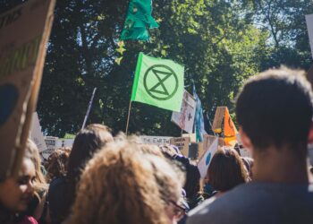 médias militants écologistes