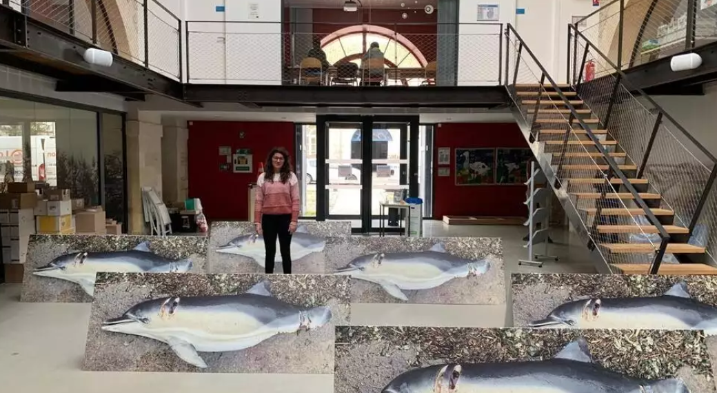 À Paris, la LPO expose 400 dauphins grandeur nature pour demander une interdiction partielle de la pêche