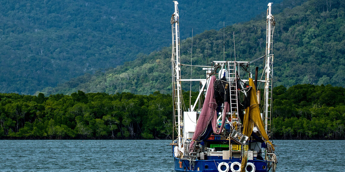 En France, la pêche est encore loin d’être durable selon une étude