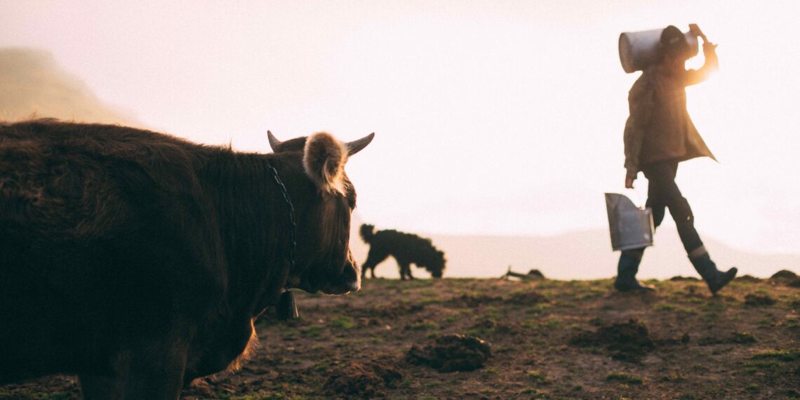 documentaire paysan agriculture