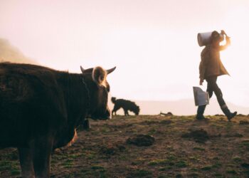 documentaire paysan agriculture