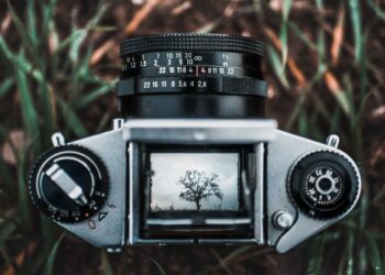 À Paris, une journée pour explorer les liens entre création artistique et écologie