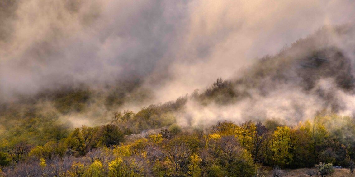 Feux de forêts : « Avec plus de prévention, nous ne sommes pas condamné·es aux catastrophes »