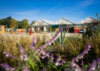 Montpellier : Fakear et Deborah Aime la Bagarre au line-up du nouveau 2030 Festival