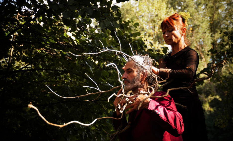 À Perpignan, le festival Bioviv’art mêle art et sciences pour parler autrement du vivant