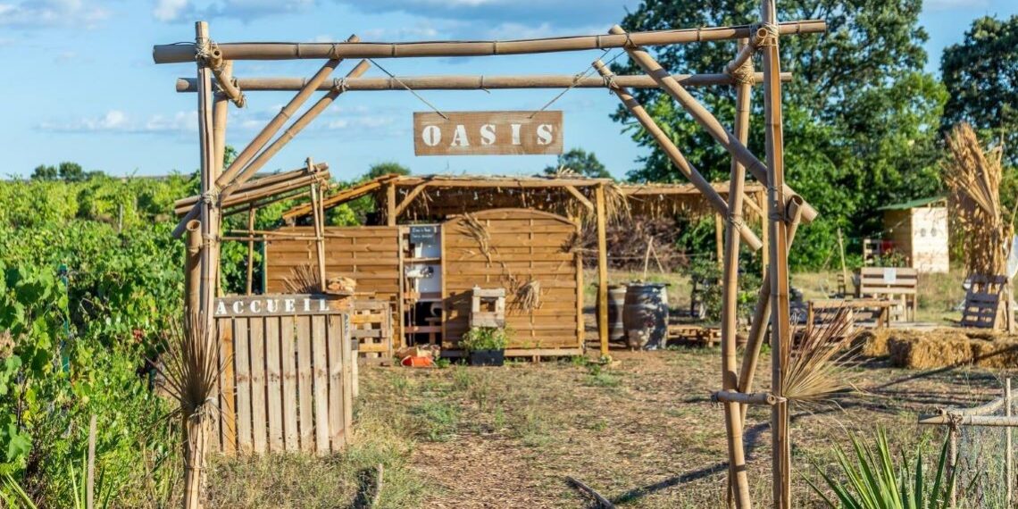 L’Oasis Citadine : la ferme collective qui amène l’agroécologie au cœur de Montpellier