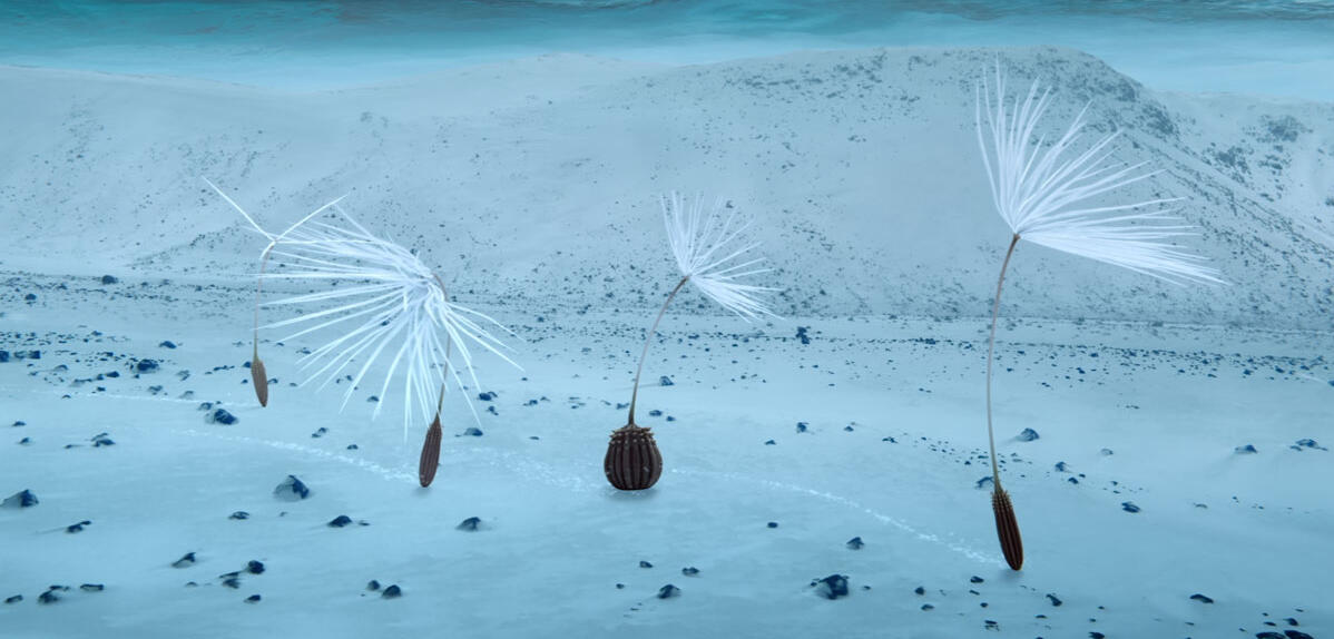 Arrivée mouvementée des akènes sur la planète glacée