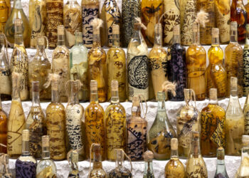 Marseille : une expo exhume les récits oubliés de la Méditerranée, des traversées aux écosystèmes fragilisés