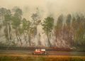 Incendies Gironde en 2022 ©SDIS33