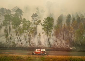 Incendies Gironde en 2022 ©SDIS33