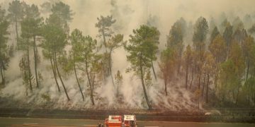 Incendies Gironde en 2022 ©SDIS33