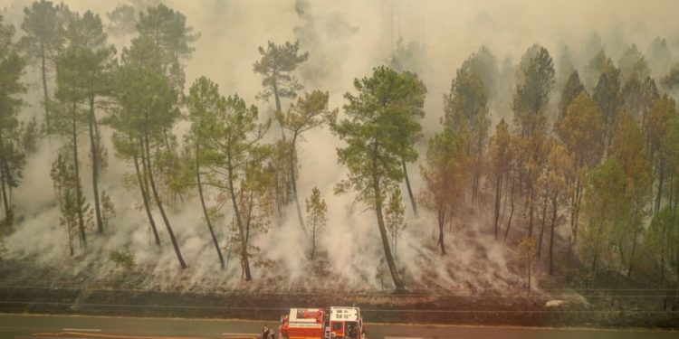 Incendies Gironde en 2022 ©SDIS33